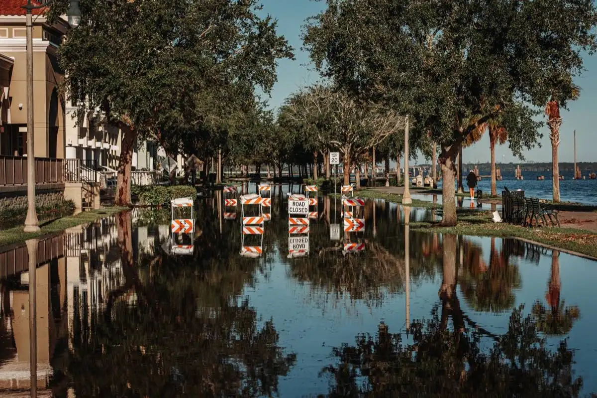 Sewage & Category 3 Water Cleanup in Clearwater, FL